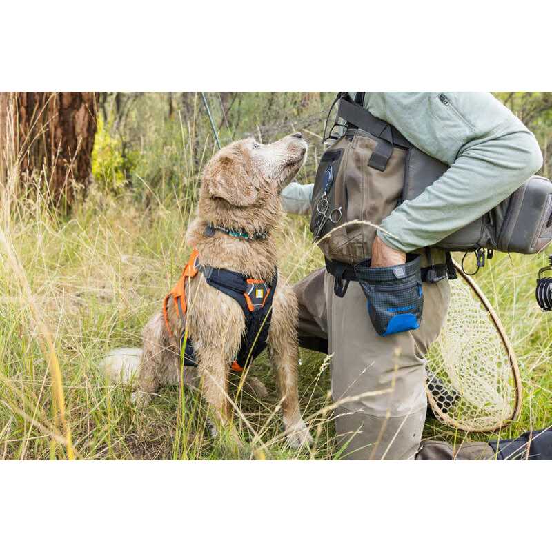Alternative view of Ruffwear Treat Trader