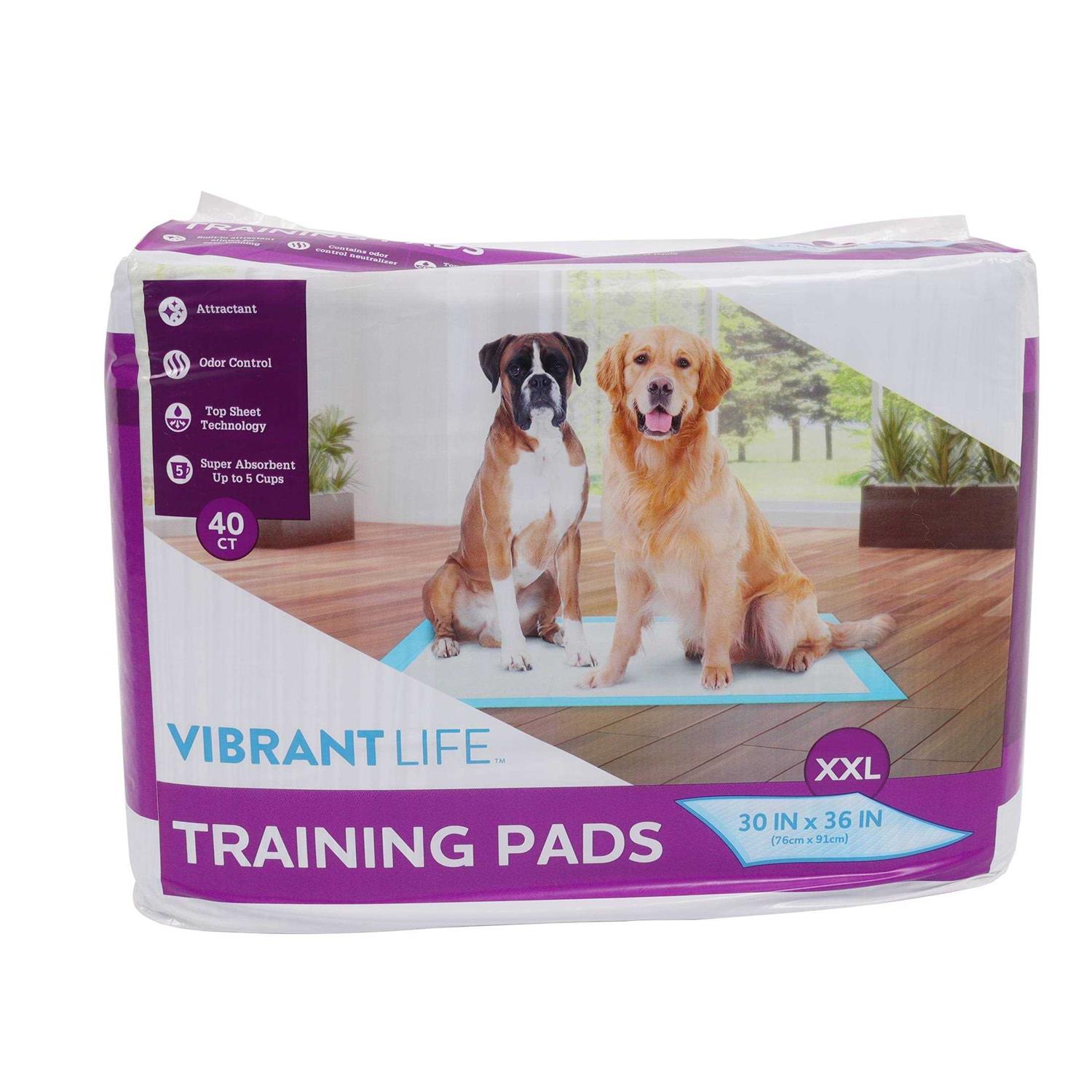 Pet All Star XXL Training Pads Dog housebreaking Pads