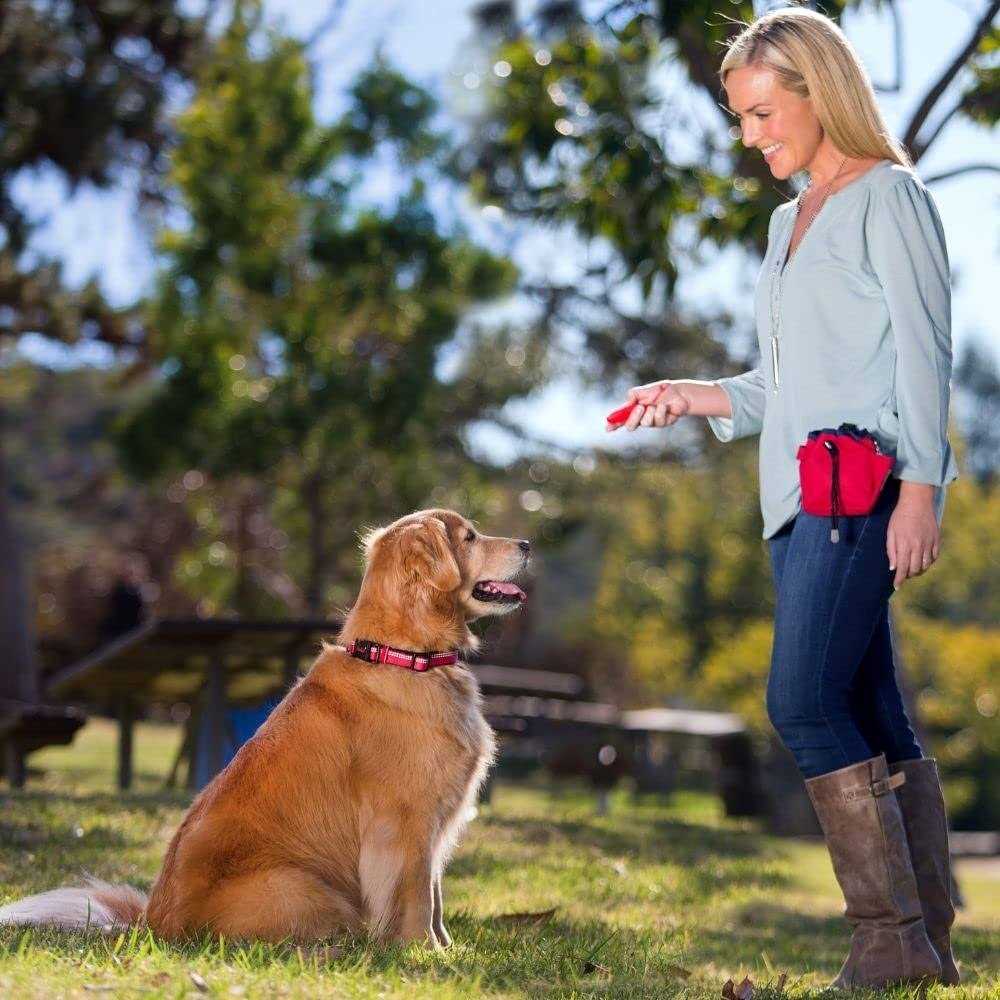 Alternative view of Company of Animals Treat Bag