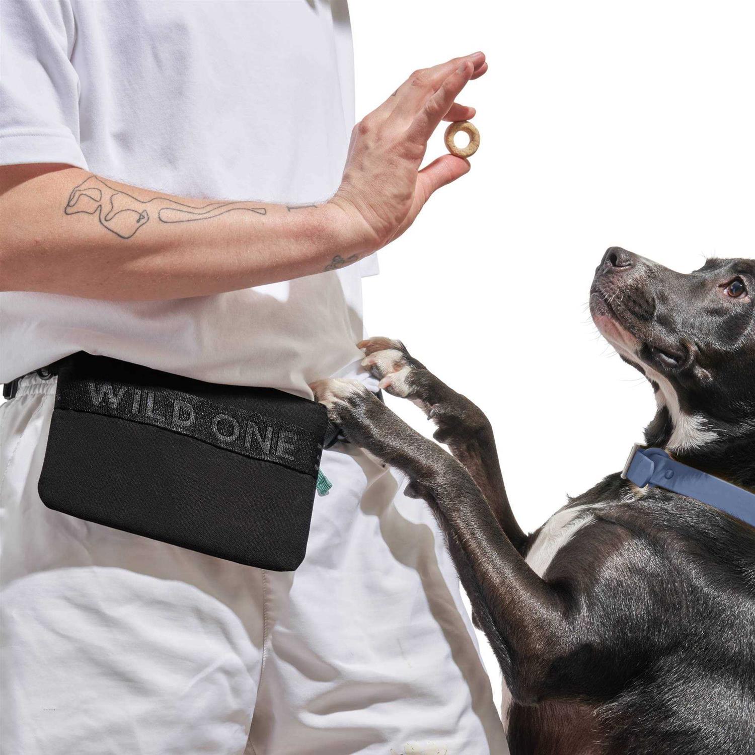 Alternative view of Wild One Cotton Dog Treat Pouch