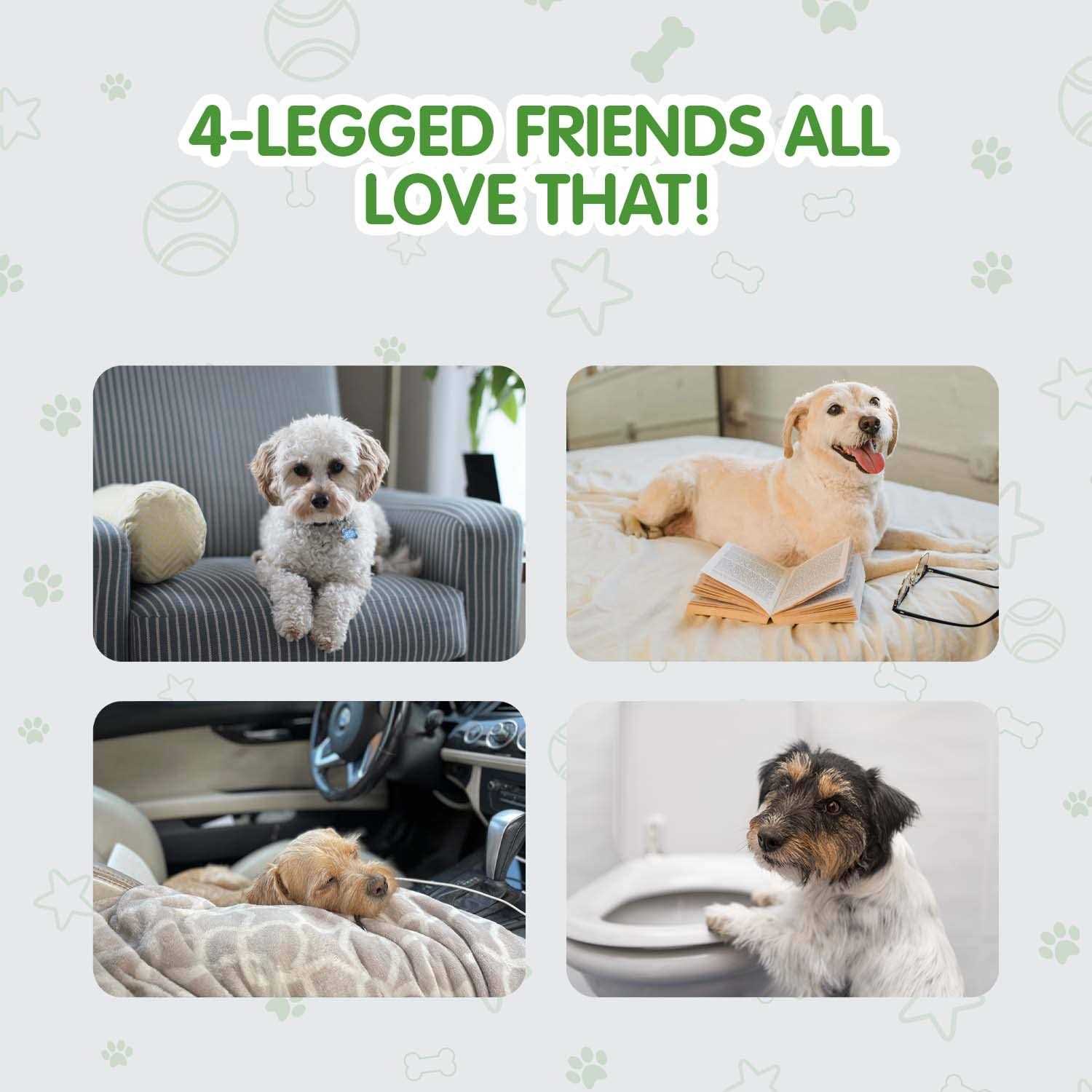 Alternative view of COCOYO Best Value Dog Training Pads