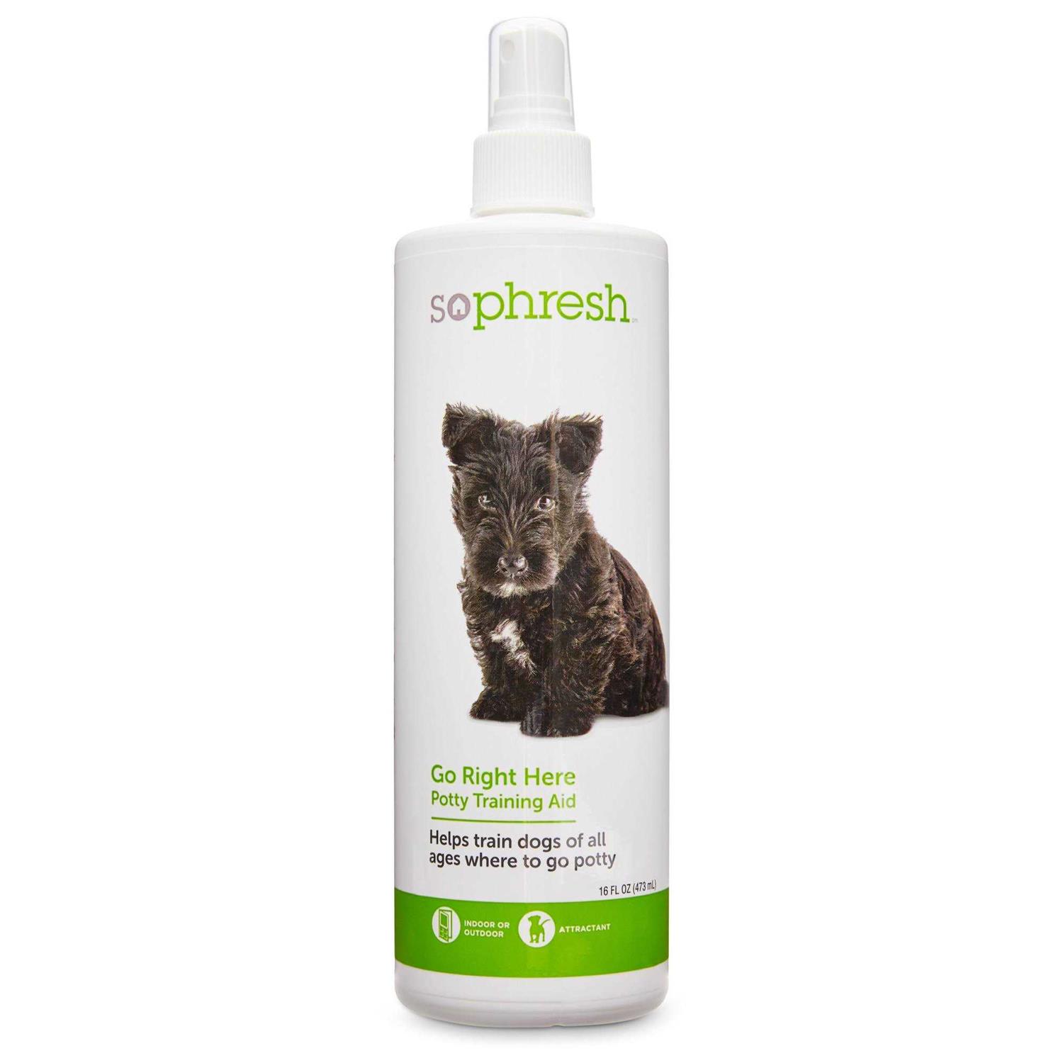 So Phresh Go Right Here Potty Training Spray