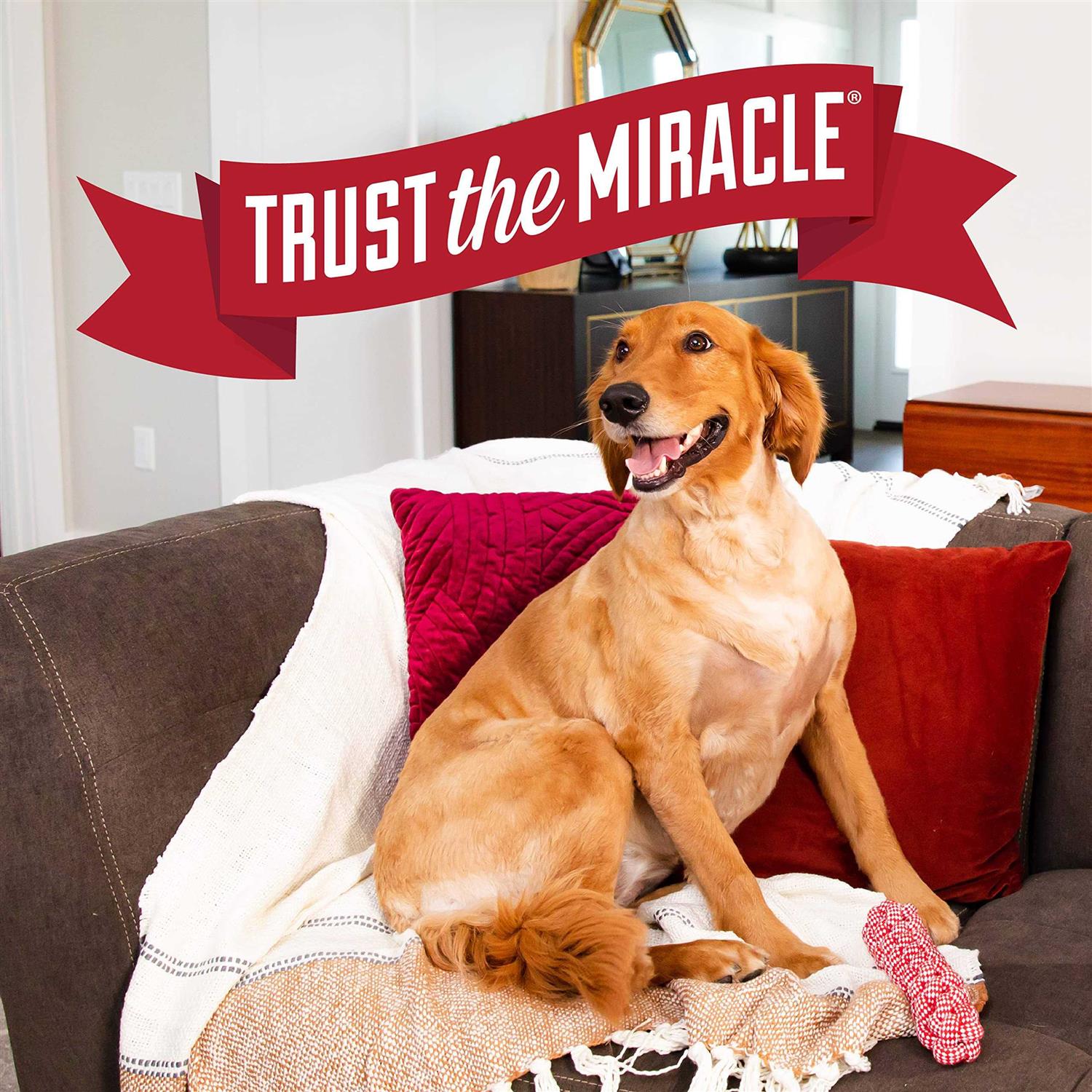 Alternative view of Nature's Miracle Advanced Platinum Puppy Potty Training Spray