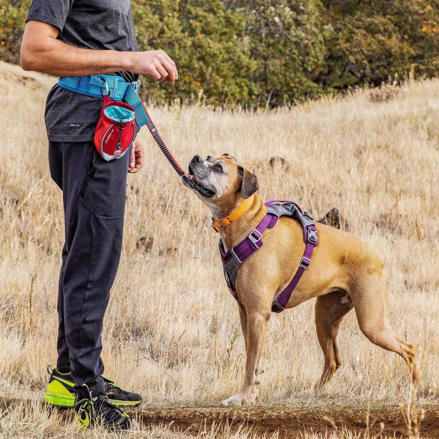 Alternative view of Kurgo Go Stuff It Dog Treat Bag