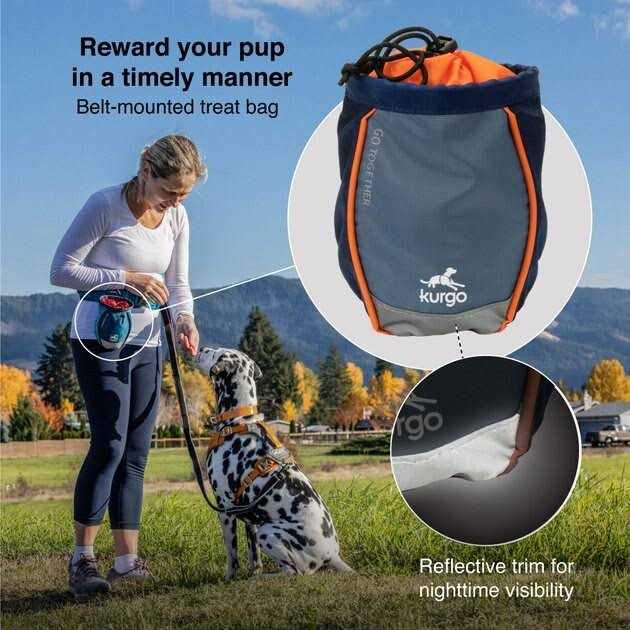 Alternative view of Kurgo Go Stuff It Dog Treat Bag