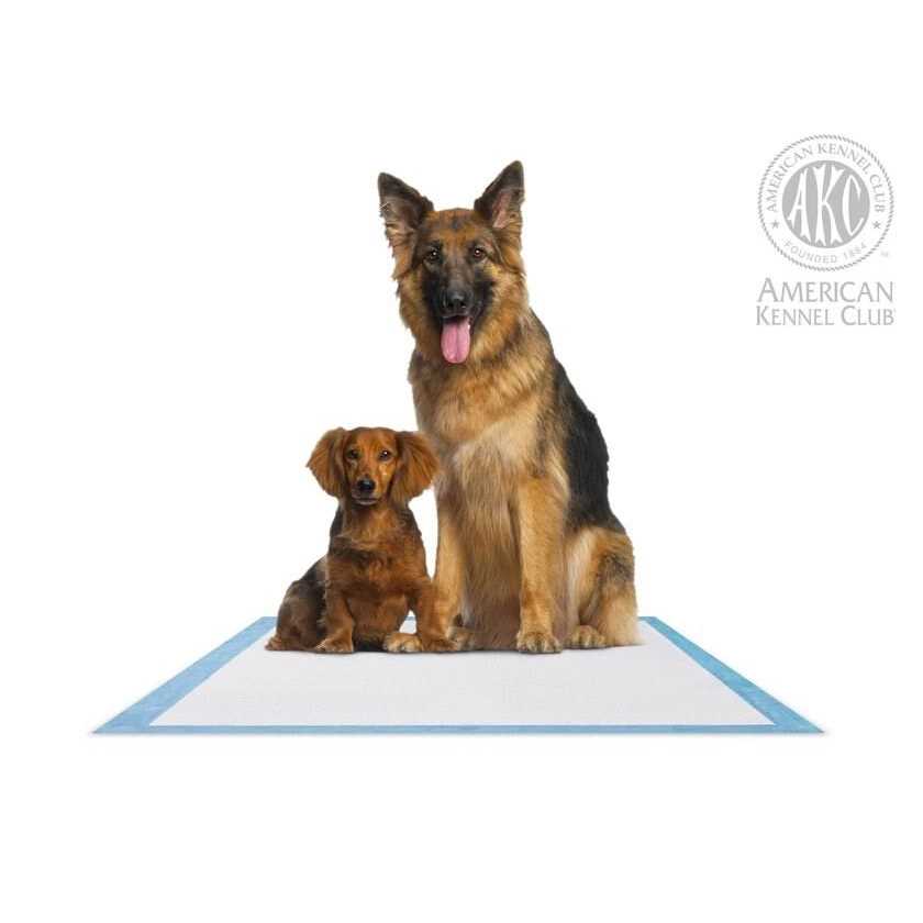 Alternative view of American Kennel Club 28 x Training Pads