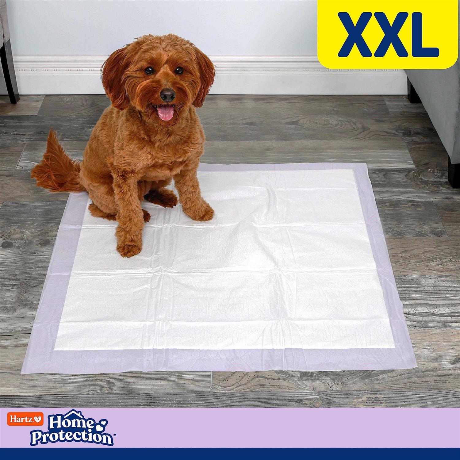 Alternative view of Hartz Home Protection Lavender Scent Odor Eliminating Dog Pads