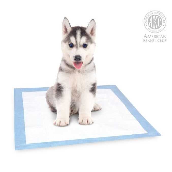Alternative view of American Kennel Club AKC Puppy Training Pads