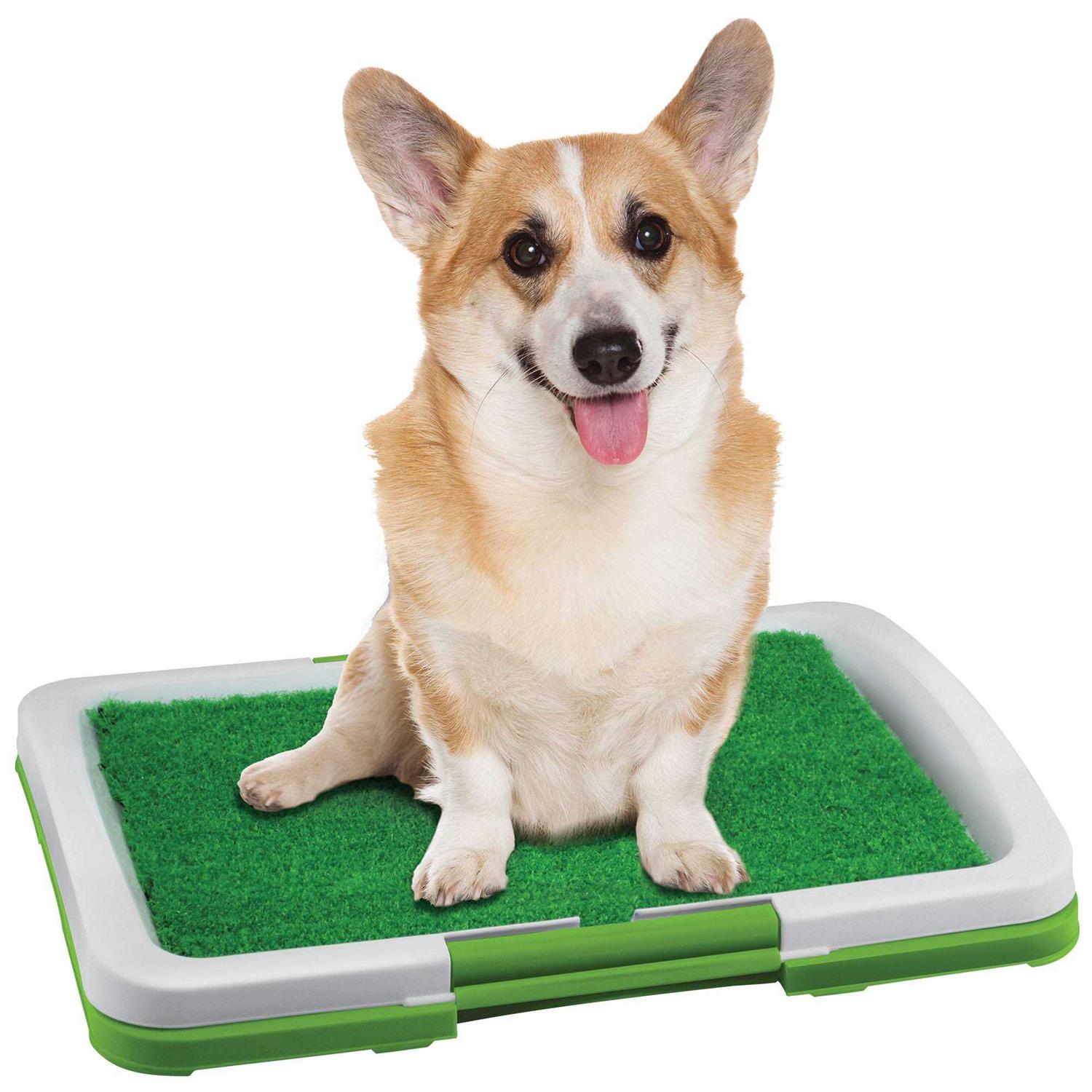Dog Potty Patch