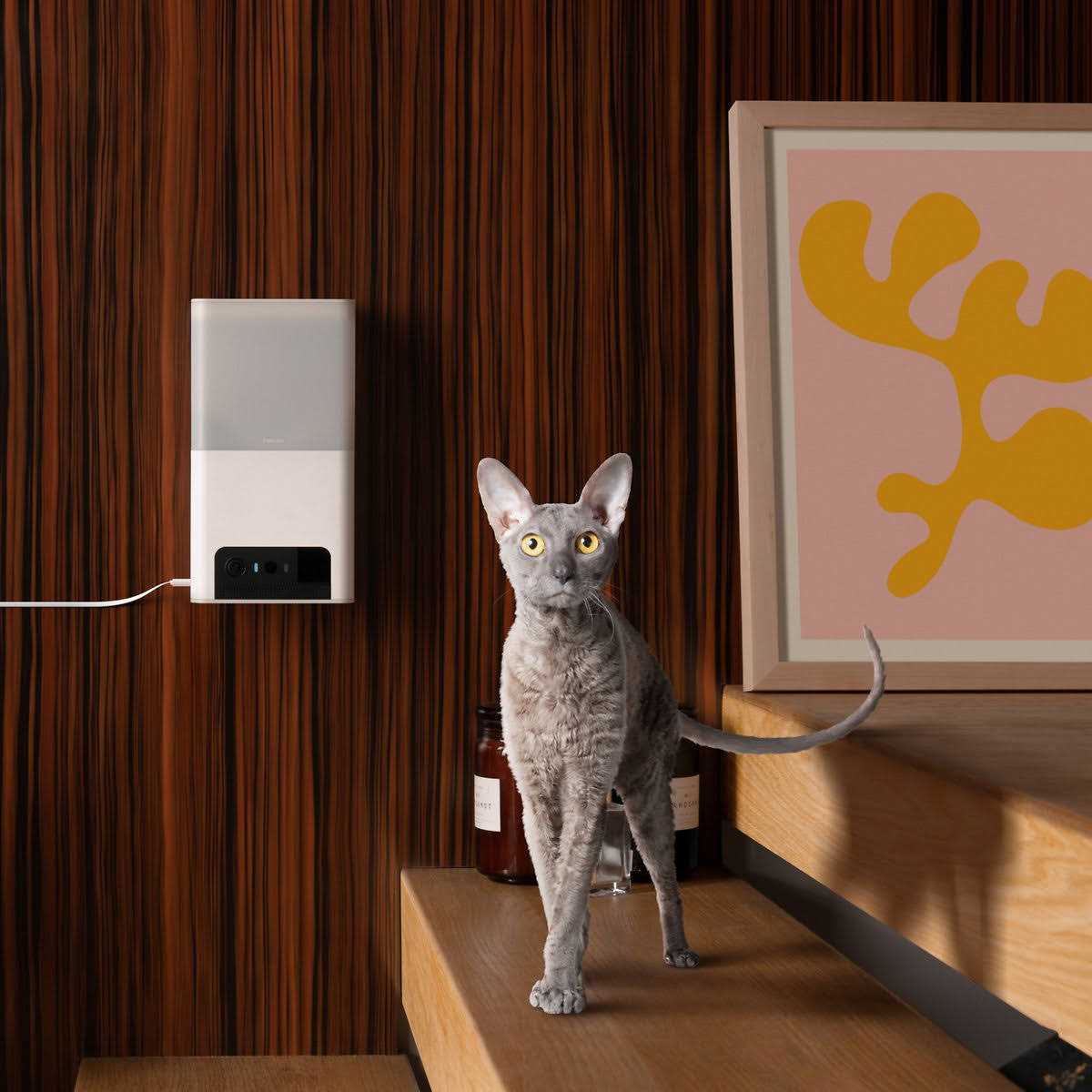Alternative view of Petcube Bites 2 Lite Interactive WiFi Pet Monitoring Camera with Phone App and Treat Dispenser