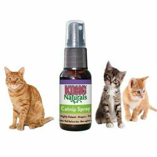 Alternative view of Kong Catnip Spray
