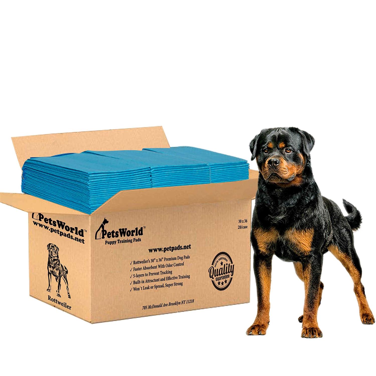 Petsworld Extra Large Potty Pads for Dogs