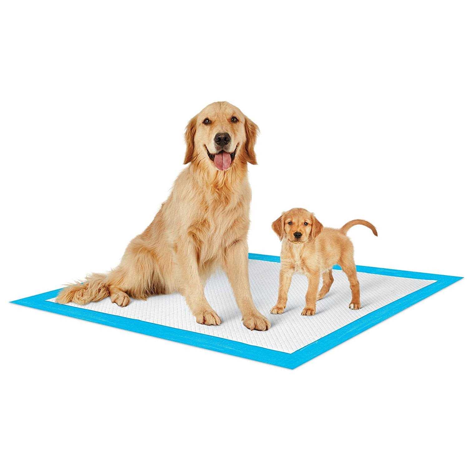 Alternative view of Petsworld Extra Large Potty Pads for Dogs