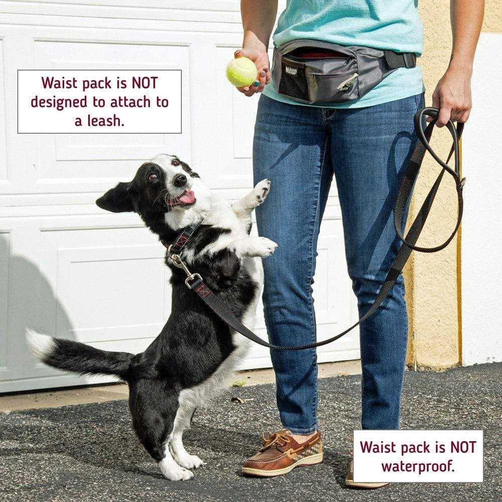 Alternative view of Leashboss PackUp Pouch Dog Treat Training Pouch with Waste Bag Dispenser