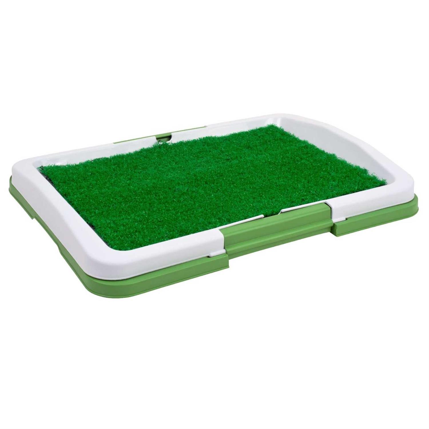 Global TV Products Potty Trainer