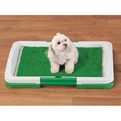 Alternative view of Global TV Products Potty Trainer