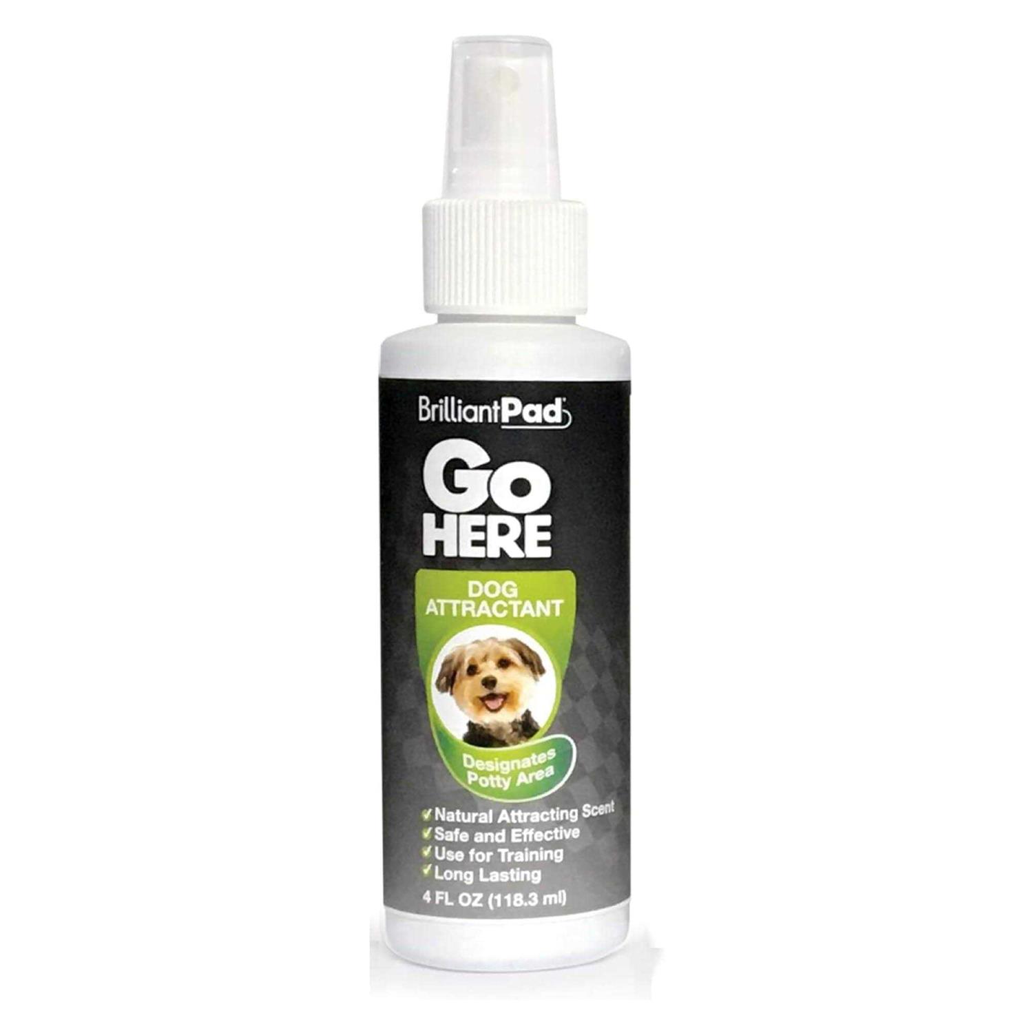 Brilliantpad 'Go Here!' Dog Potty Attractant Spray