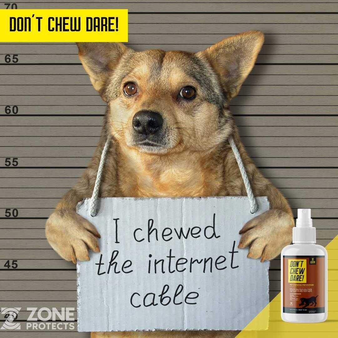 Alternative view of Zone Protects Don't Chew Dare! Indoor Dog Chewing Prevention Spray