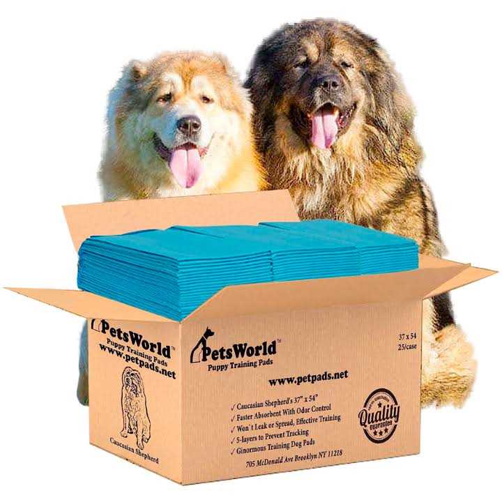 petsworld Pet Potty Pads Xxxl Enormous Tear Resistant