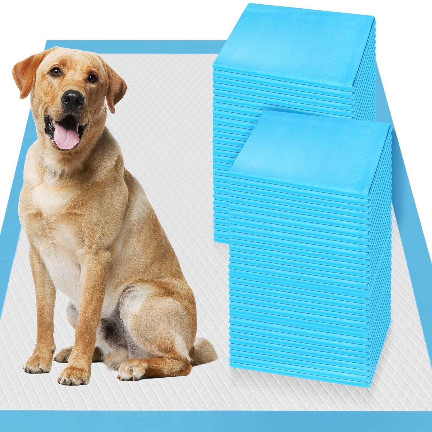 Boscute Thicken 6 Layers Heavy Absorbent XXL 30x36 Pet Training Dog Pee Pads