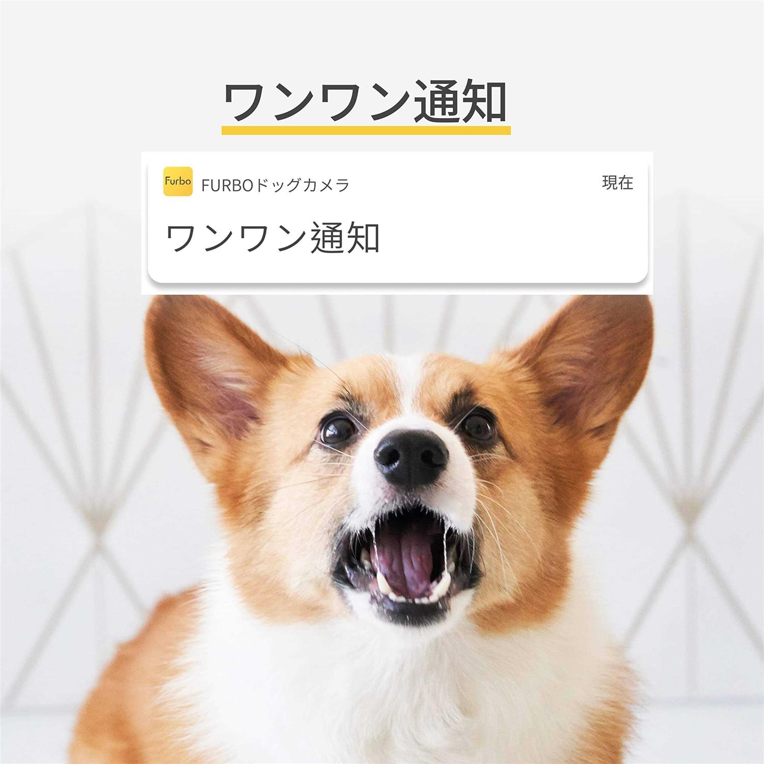 Alternative view of Furbo 360° Dog Camera Rotating 360° View Wide-Angle Pet Camera with Treat Tossing
