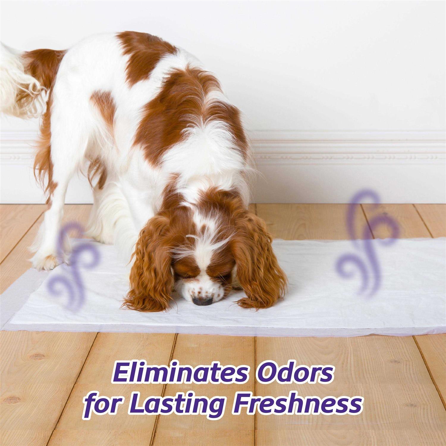 Alternative view of Hartz Home Protection Lavender Scent Odor Eliminating Dog Pads