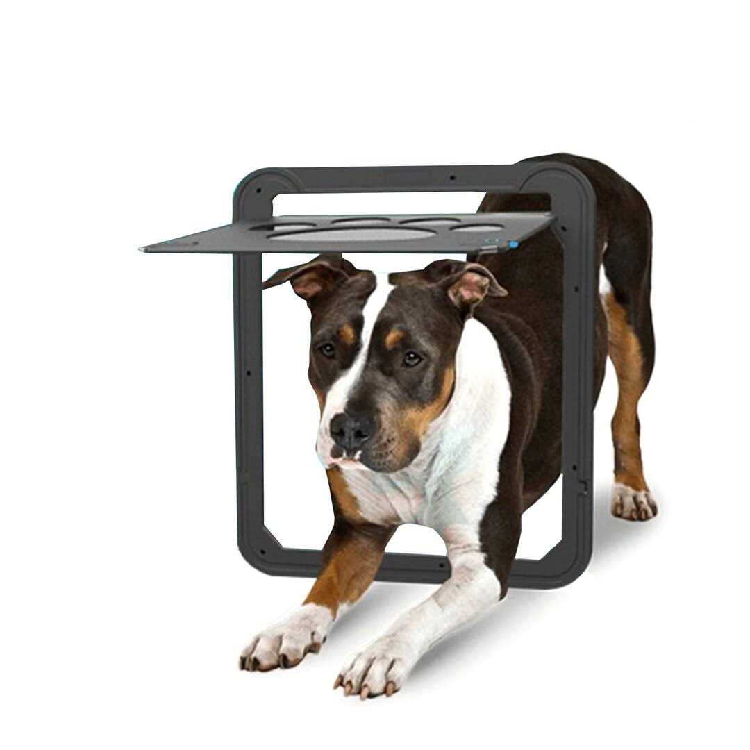 Ownpets Dog Screen Door Inside Door Flap 12x14x0.4 Inch Lockable Pet Screen Door