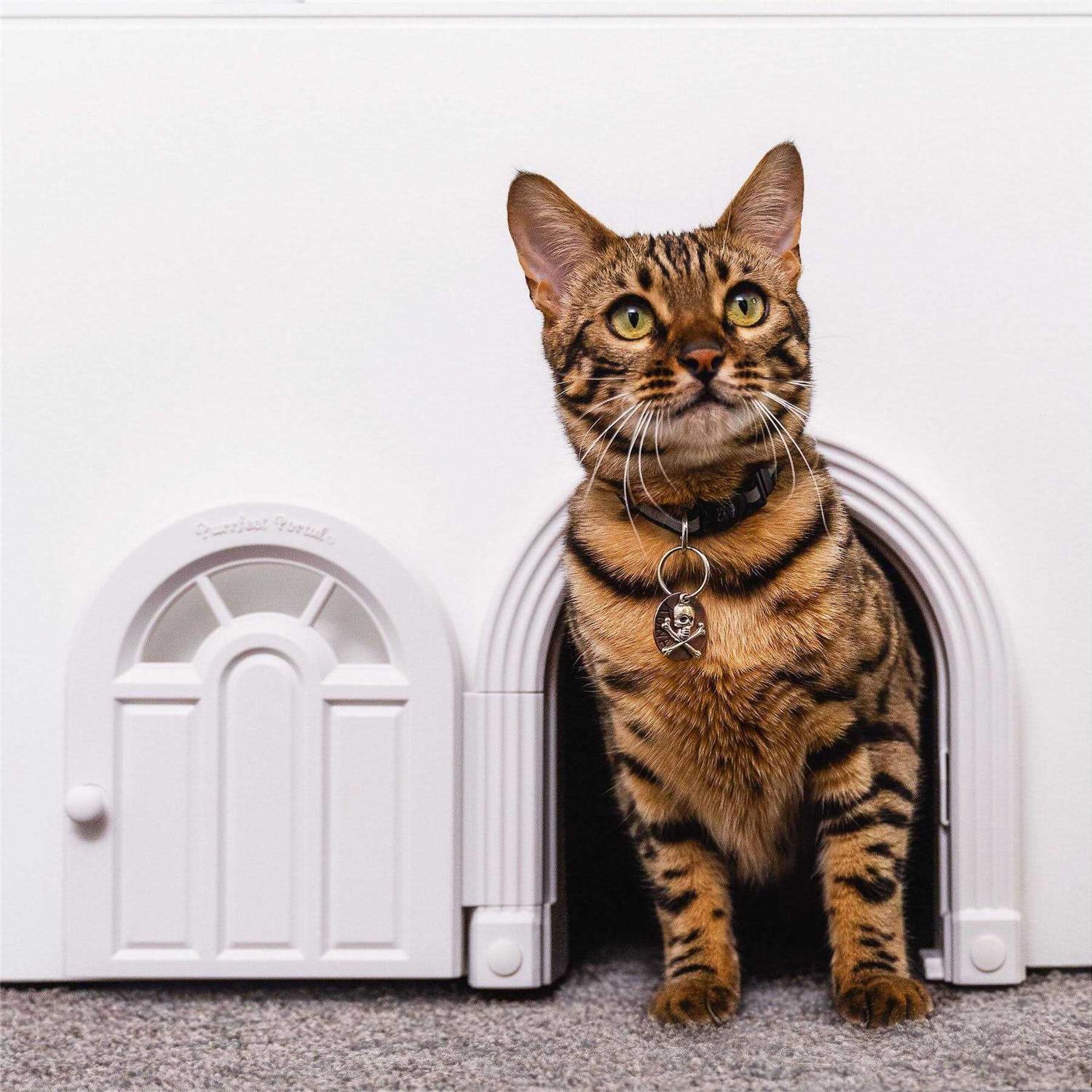 Purrfect Portal Interior Cat Door No-Flap Cat Door for Interior Door Cat Door Interior Door for Cats Up to 20 lbs