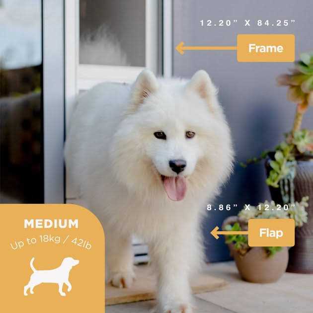 Alternative view of Hakuna Pets Small Silver Patio Pet Door
