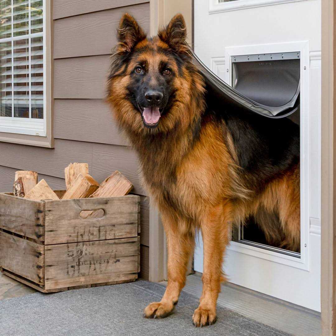 Alternative view of Extreme Weather Aluminum Pet Door PetSafe