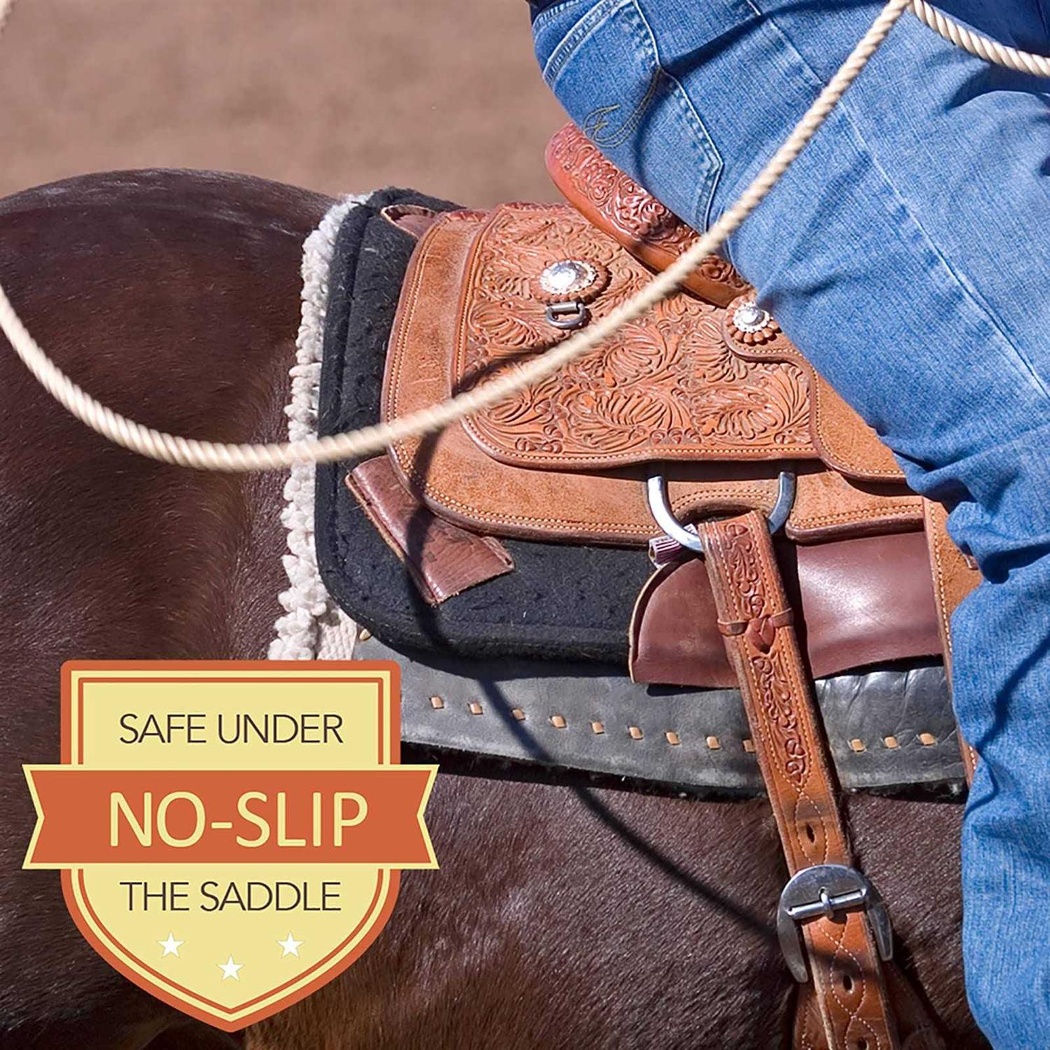 Alternative view of Absorbine Santa Fe Coat Conditioner & Sunscreen