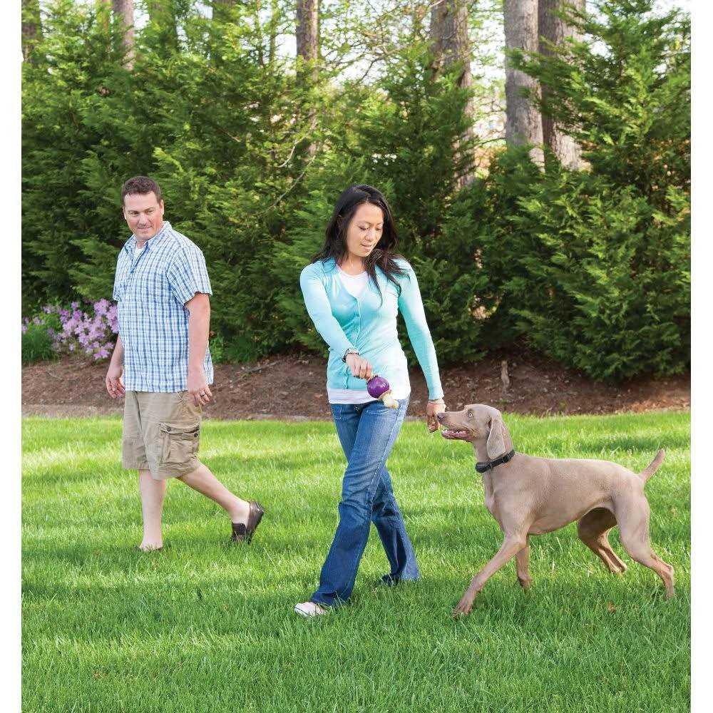 Alternative view of PetSafe Stay & Play Wireless Fence with Replaceable Battery Collar