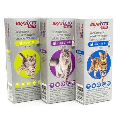 Alternative view of Bravecto Plus Topical Solution for Cats