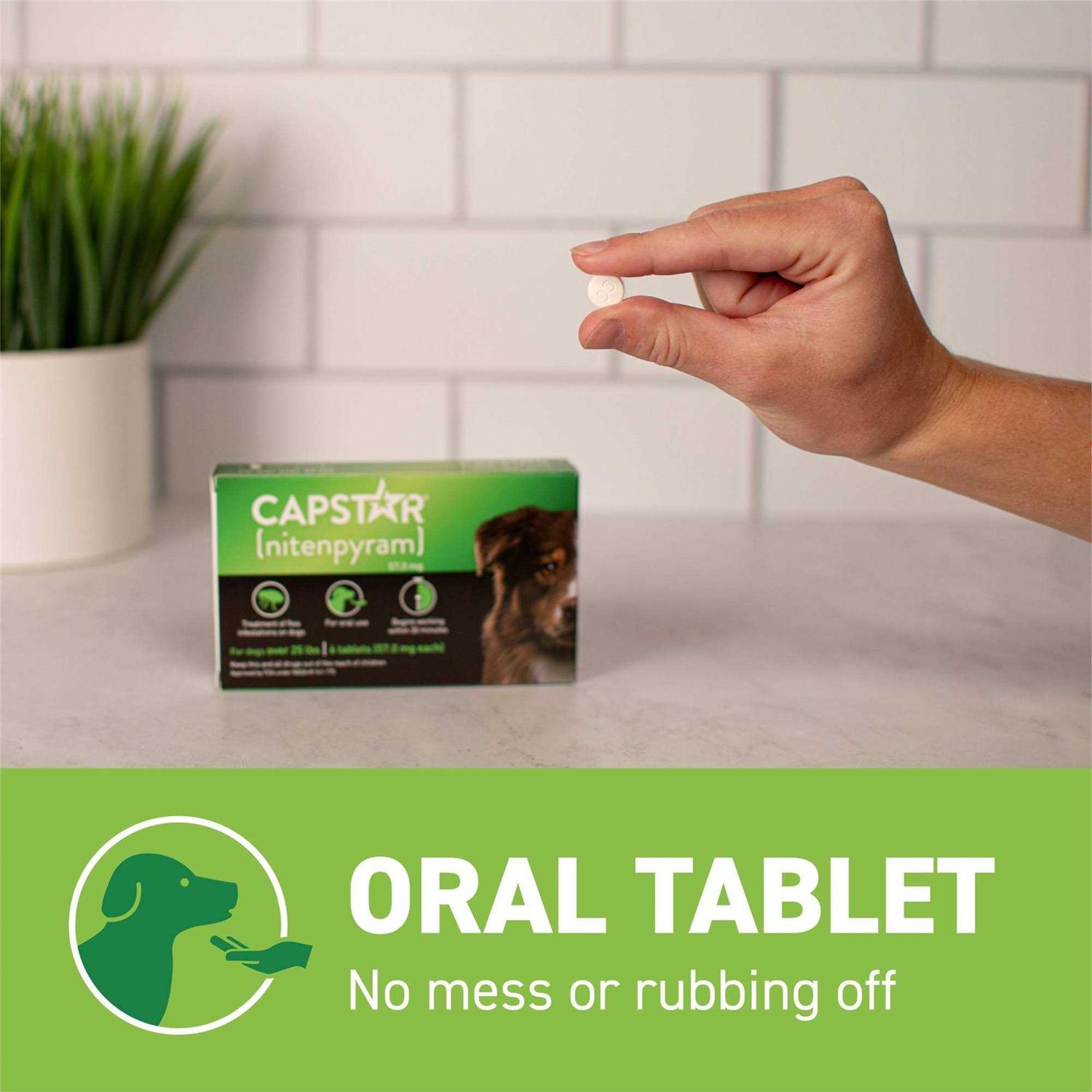 Alternative view of Capstar Flea Oral Treatment for Dogs