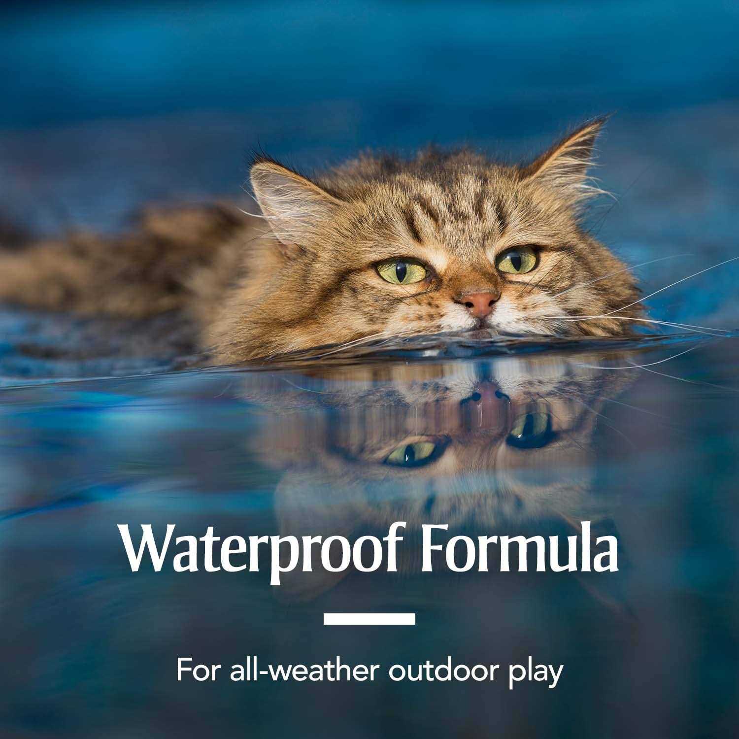 Alternative view of PetArmor Flea & Tick Spot Treatment for Cats