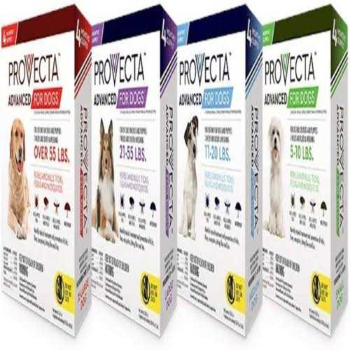 Alternative view of Provecta 4 Doses Advanced for Dogs