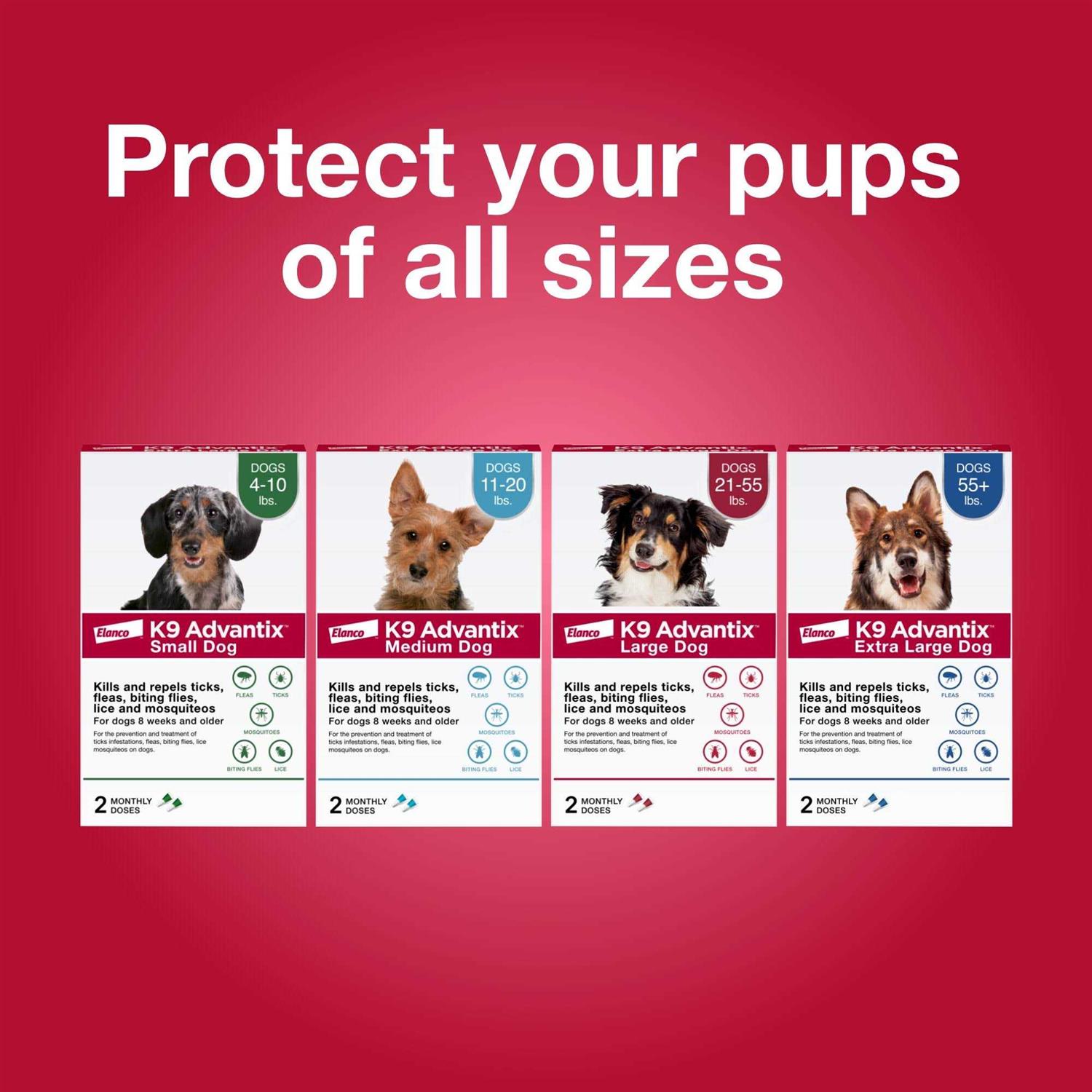 Alternative view of K9 Advantix Flea Tick & Mosquito Prevention for Small Dogs 4-10 lbs