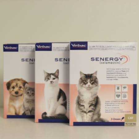 Alternative view of Senergy Topical for Cats 5.1 15 lbs