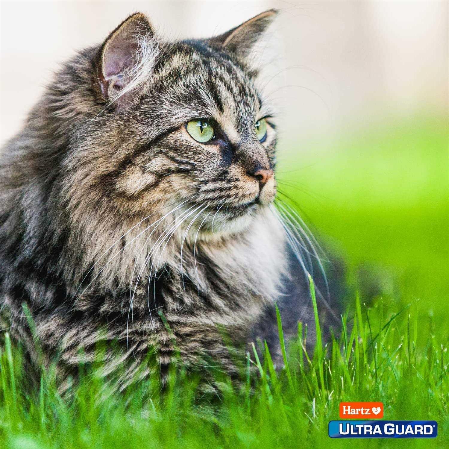 Alternative view of Hartz UltraGuard Plus Flea and Tick Home Spray