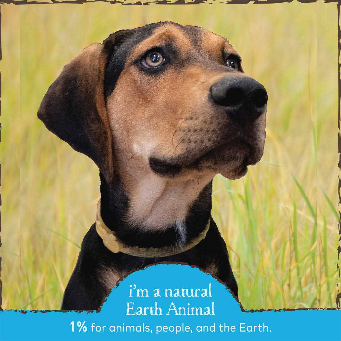 Alternative view of Earth Animal Herbal Flea Tick Collar for Dogs