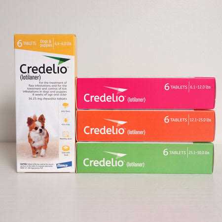 Alternative view of Credelio for Dogs 12.1-25 lbs 1 Count
