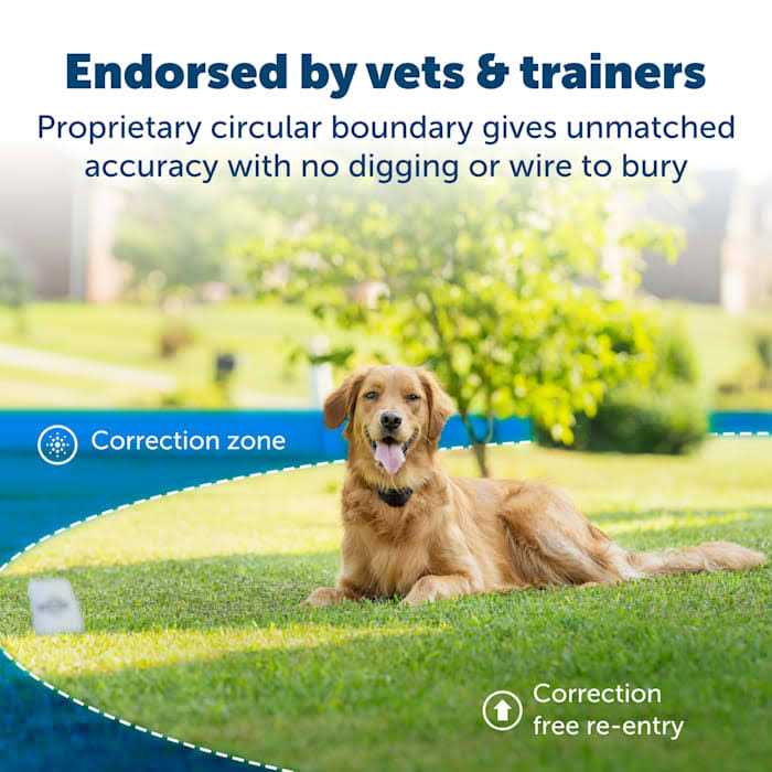 Alternative view of PetSafe Stay and Play Wireless Fence with Replaceable Battery Collar