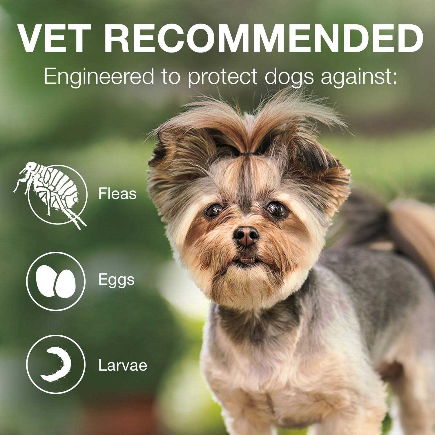Alternative view of Advantage II for Dogs