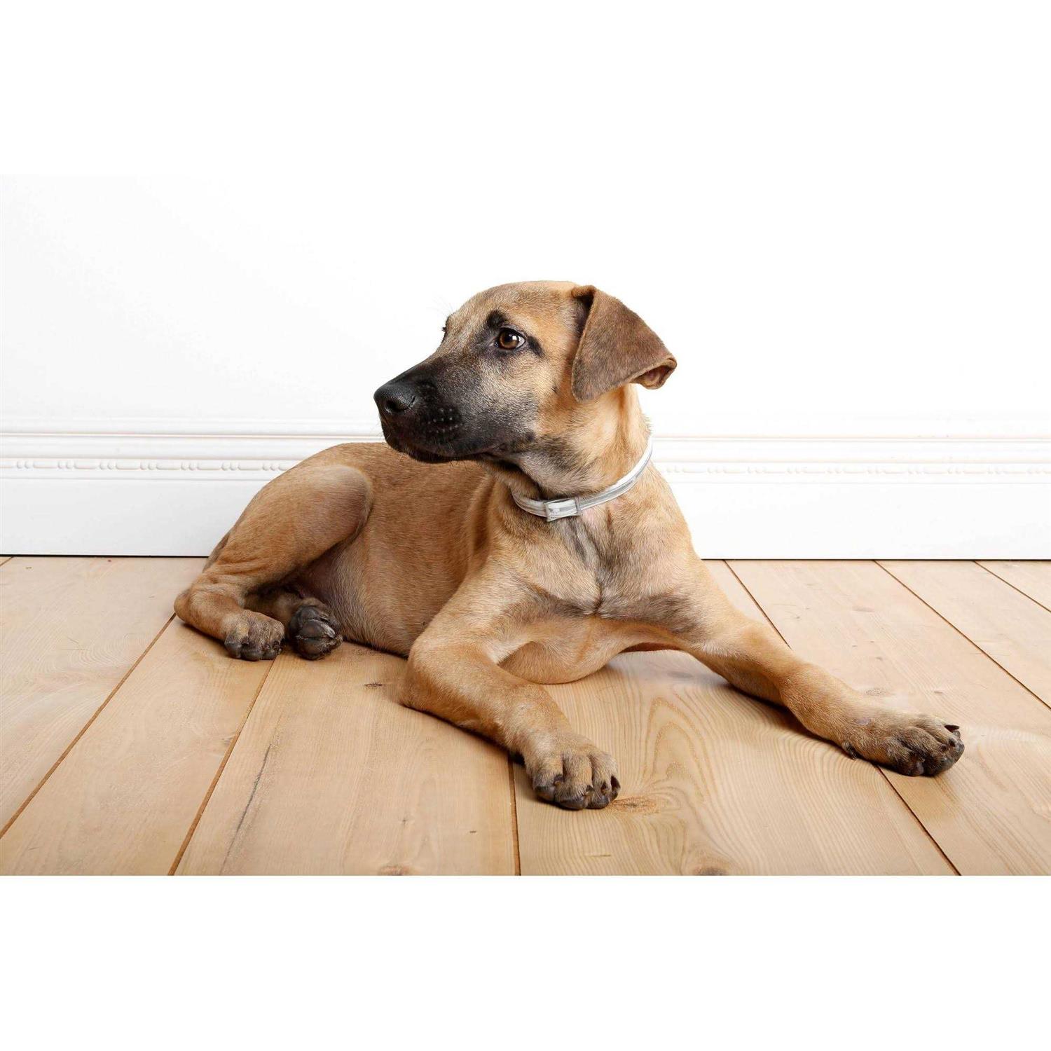 Alternative view of Hartz UltraGuard Pro Flea & Tick Collar for Dogs