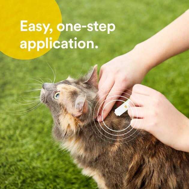 Alternative view of Onguard Plus Flea & Tick Spot Treatment for Cats