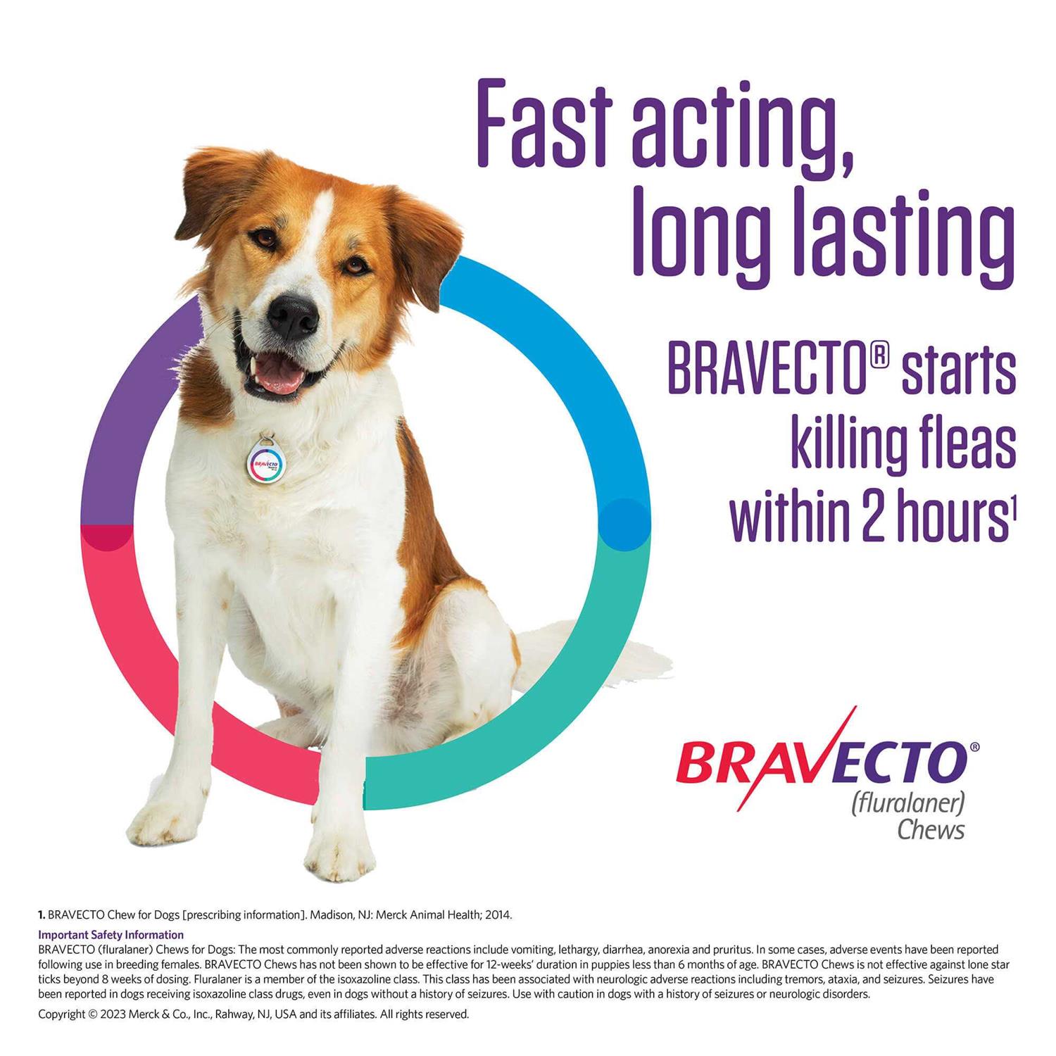 Alternative view of Bravecto Chew for Dogs 88-123 lbs