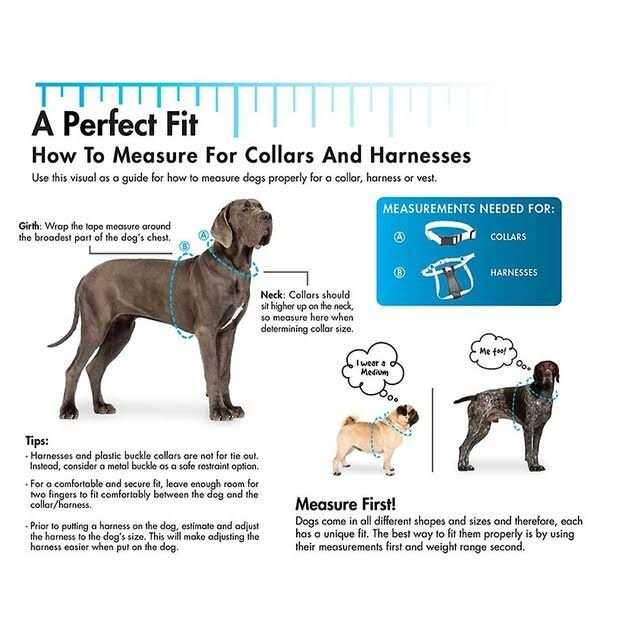 Alternative view of SecureAway Dog Flea Collar Protector Bones