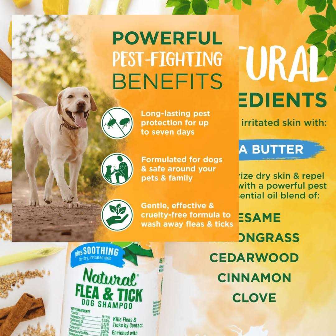 Alternative view of Tropiclean Natural Flea & Tick Shampoo Plus Soothing