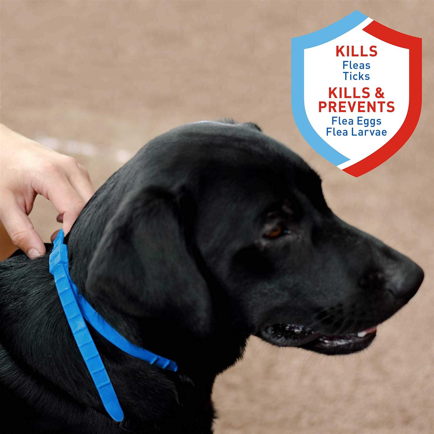 Alternative view of Adams Flea and Tick Collar For Dogs
