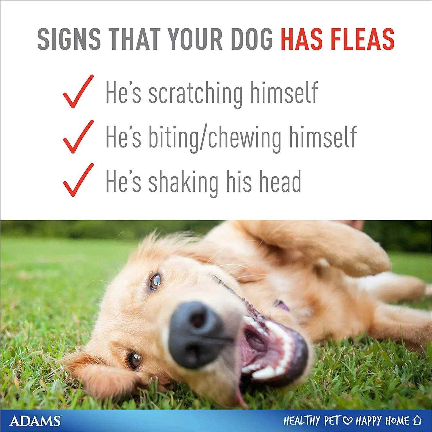 Alternative view of Adams Flea & Tick Plus Collar for Dogs
